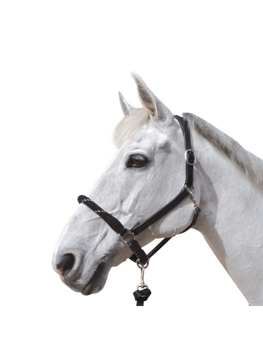 Licol corde Canter noir Licol corde Canter noir