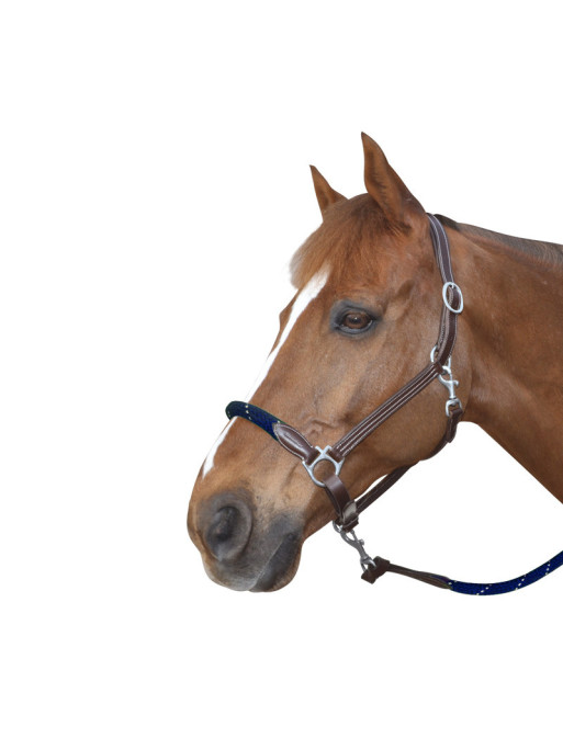 Licol corde Canter marron/marine Licol corde Canter marron/marine