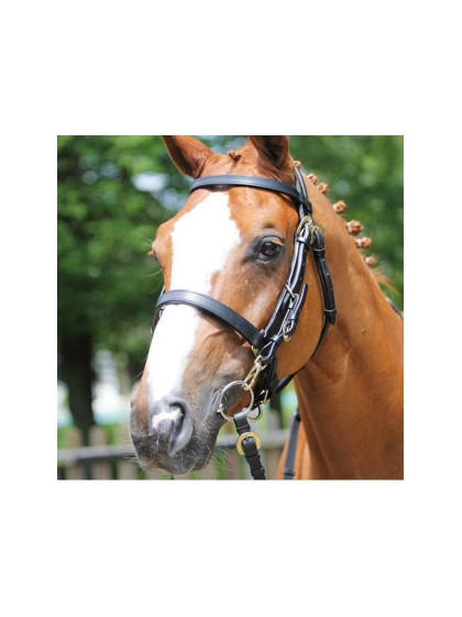 Bridon licol Trekker Cob