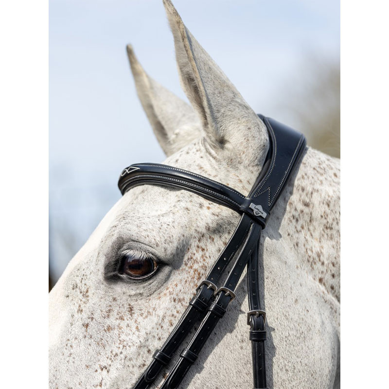 Bridon Competition LeMieux