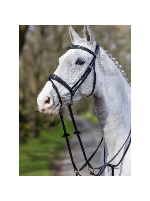 Bridon Competition LeMieux Bridon Competition LeMieux