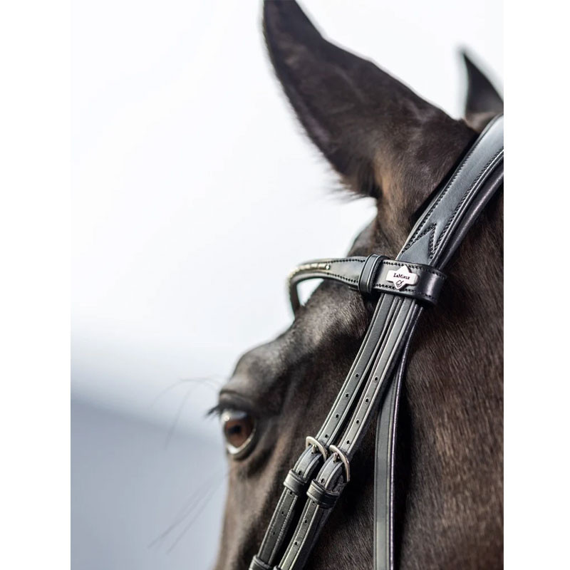 Bridon dressage Classic LeMieux