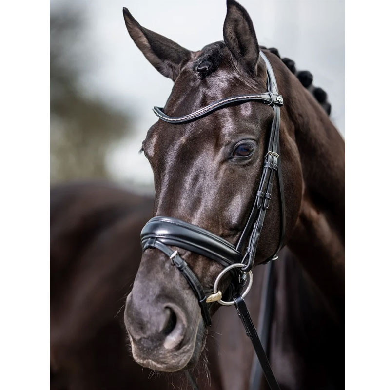 Bridon dressage Classic LeMieux