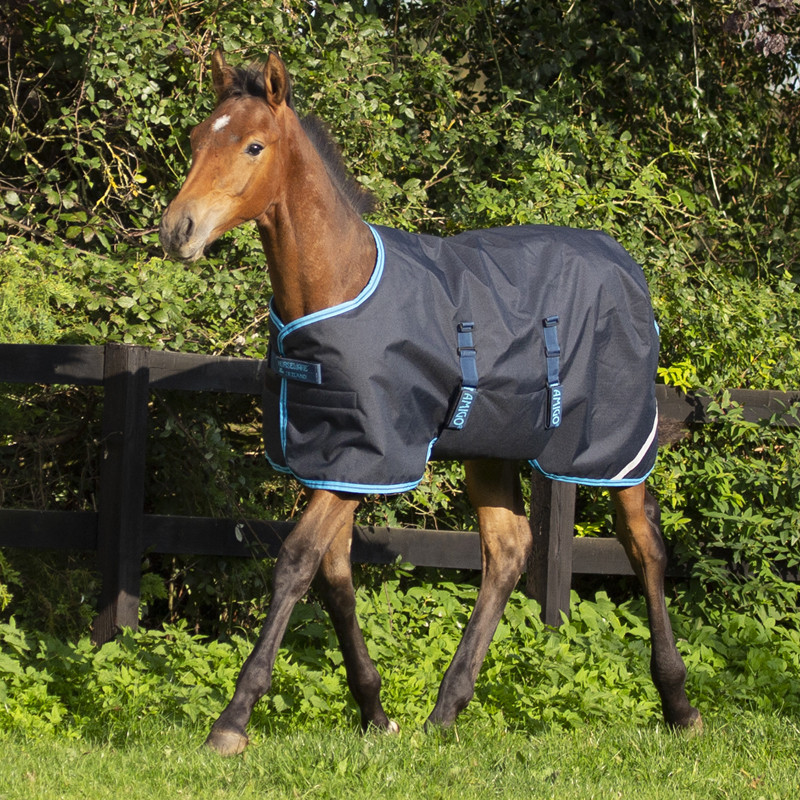 Couverture poulain Amigo Foal Rug Ripstop Horseware