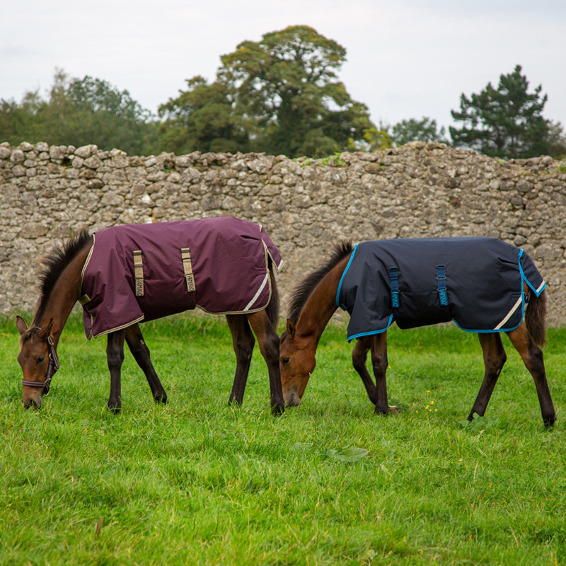 Couverture poulain Amigo Foal Rug Ripstop Horseware