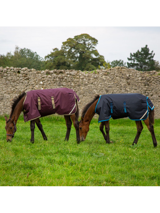 Couverture poulain Amigo Foal Rug Ripstop Horseware Couverture poulain Amigo Foal Rug Ripstop Horseware