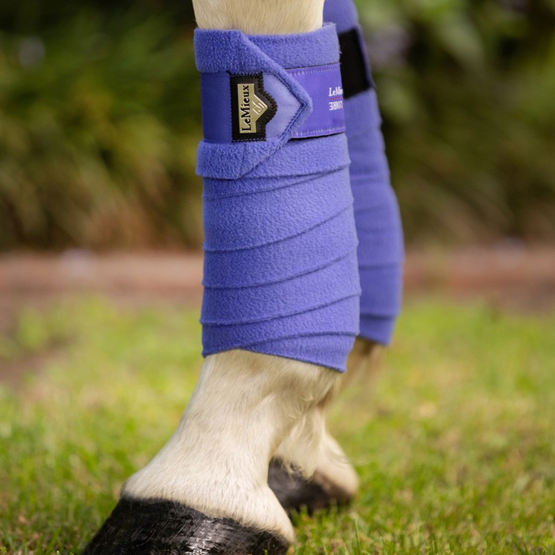 Bandes de polo Loire Satin Lemieux
