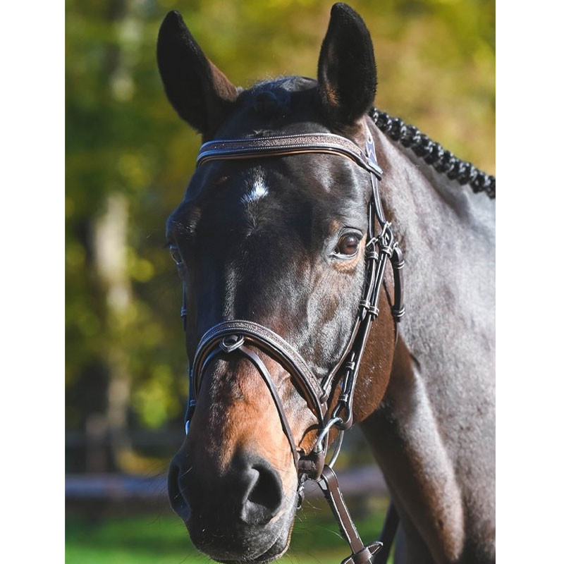 Bridon Carat Collection One Premium Jump'In Bridon Carat Collection One Premium Jump'In