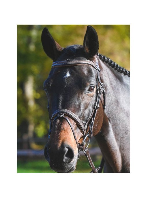 Bridon Carat Collection One Premium Jump'In Bridon Carat Collection One Premium Jump'In