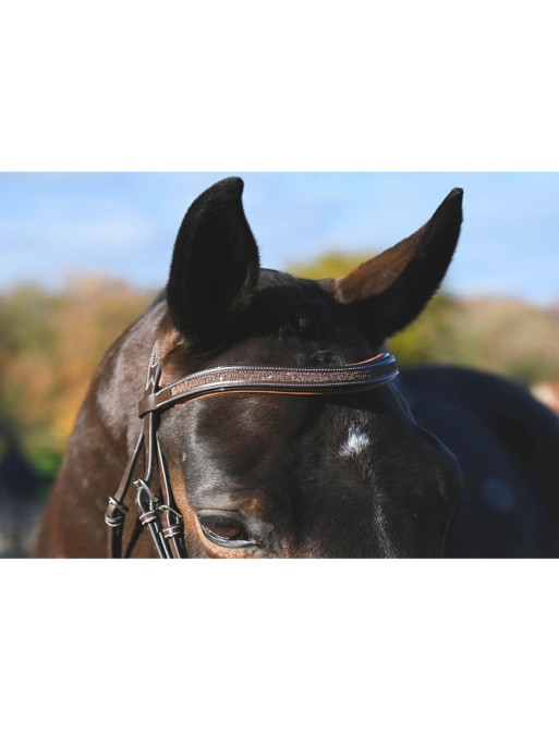 Bridon Carat Collection One Premium Jump'In Bridon Carat Collection One Premium Jump'In