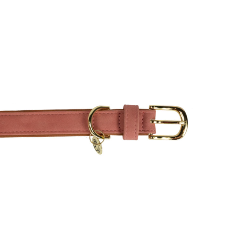 Laisse Chien Vegan Leather Kentucky