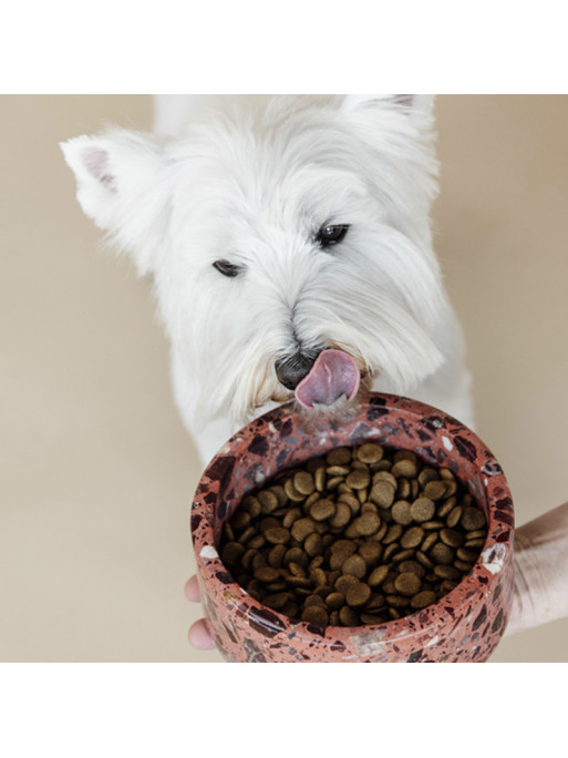 Gamelle pour chien en pierre Terrazzo Kentucky Gamelle pour chien en pierre Terrazzo Kentucky
