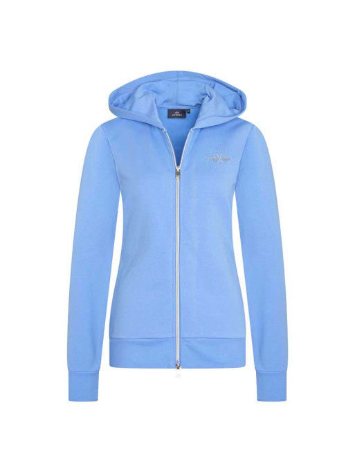 Gilet Classic HV Polo