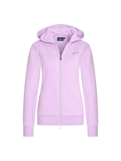 Gilet Classic HV Polo