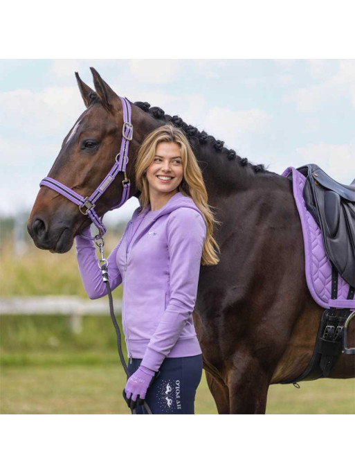 Gilet Classic HV Polo