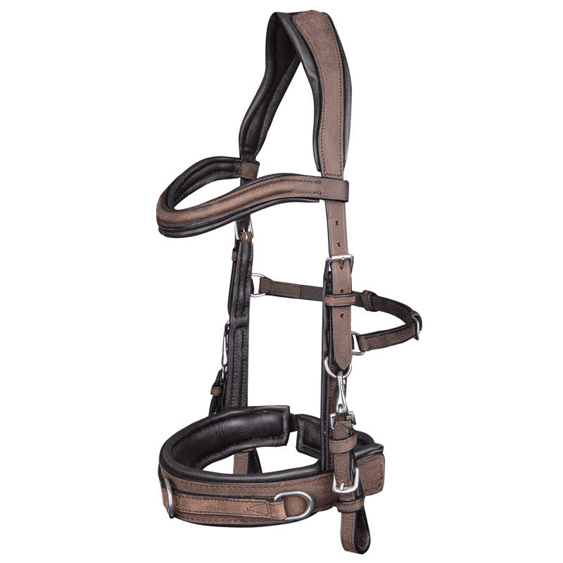 Caveçon Anatomic en cuir Waldhausen