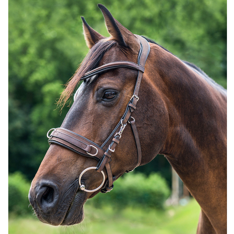 Caveçon Anatomic en cuir Waldhausen