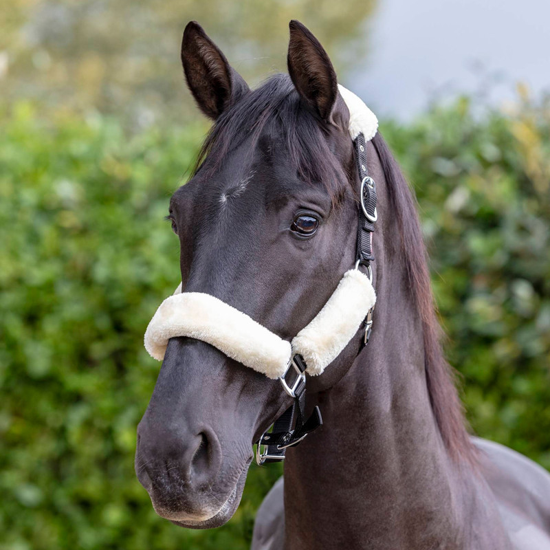 Licol Comfort Headcollar LeMieux