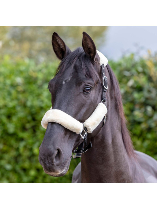 Licol Comfort Headcollar LeMieux