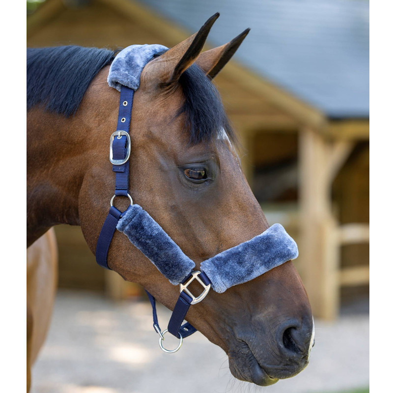 Licol Comfort Headcollar LeMieux