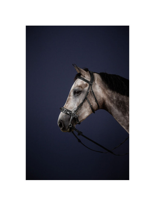 Bridon hackamore 