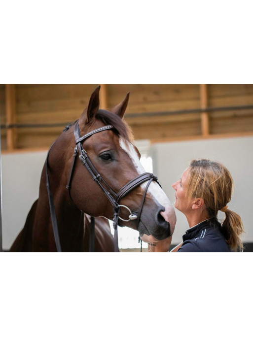 Bridon Daily Pénélope