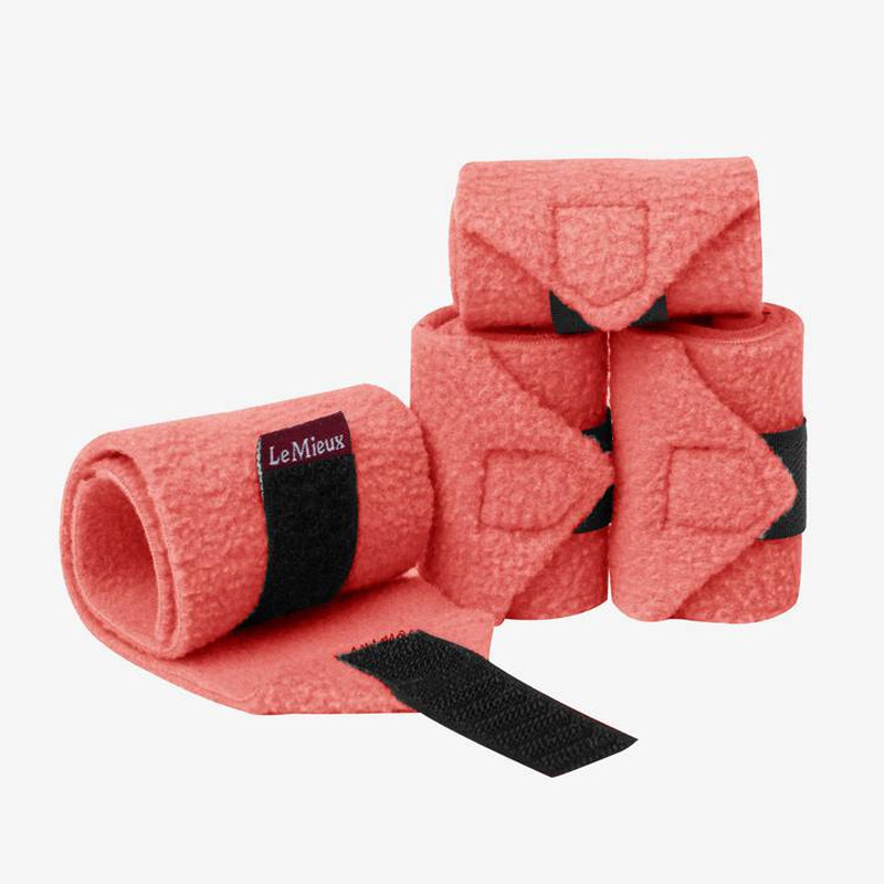 Bandes Toy Pony Lemieux