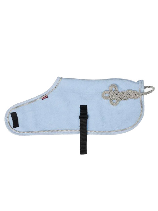 Couverture Toy Pony Lemieux