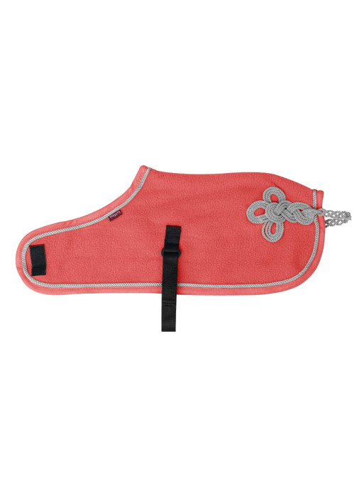 Couverture Toy Pony Lemieux