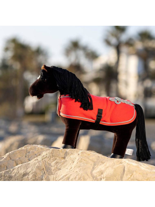 Couverture Toy Pony Lemieux