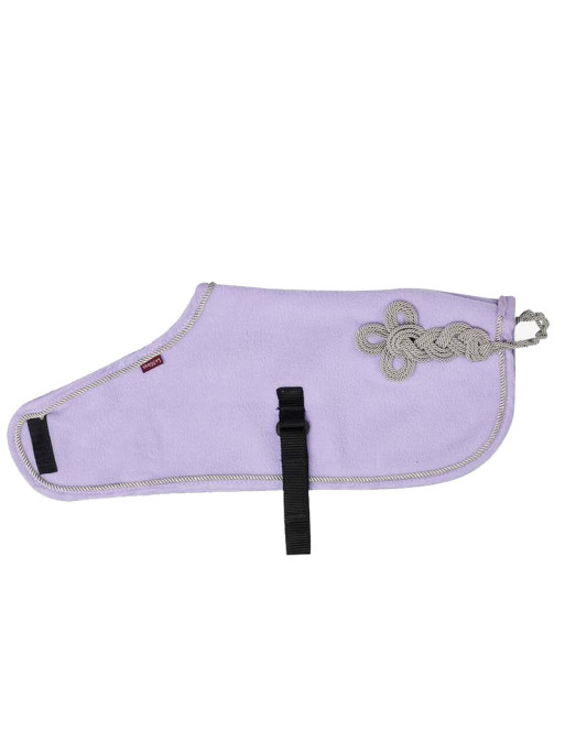 Couverture Toy Pony Lemieux