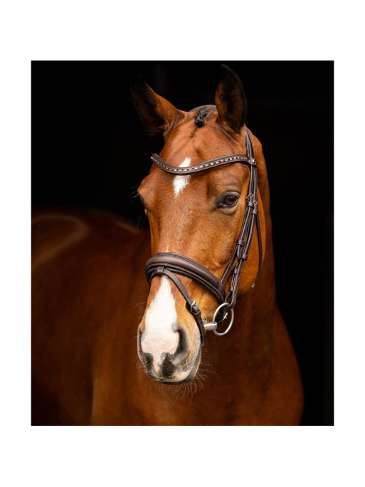 Bridon dressage Arika LeMieux