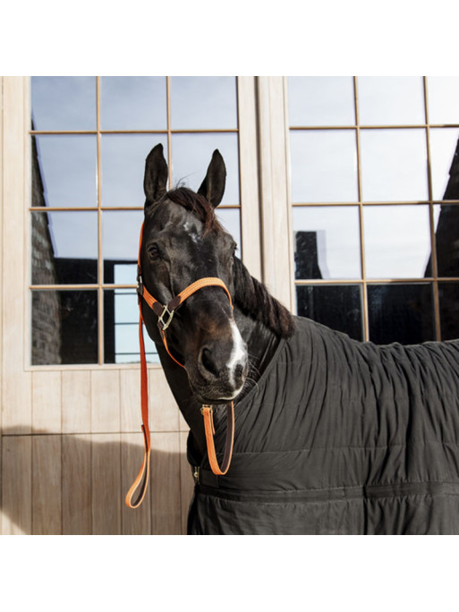 Longe en nylon tressé pour cheval 2m Kentucky