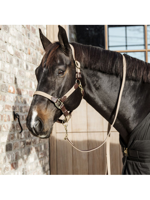 Longe en nylon tressé pour cheval 2m Kentucky
