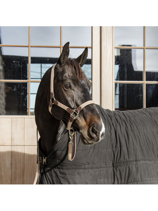 Longe en nylon tressé pour cheval 2m Kentucky