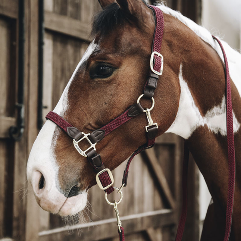 Longe en nylon tressé pour cheval 2m Kentucky