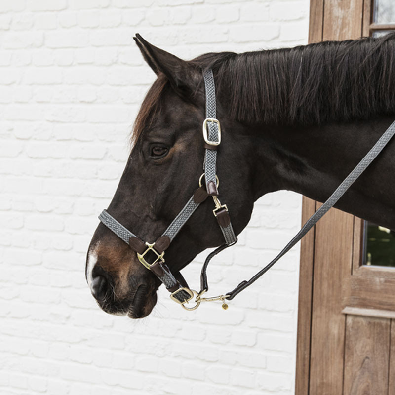 Longe en nylon tressé pour cheval 2m Kentucky