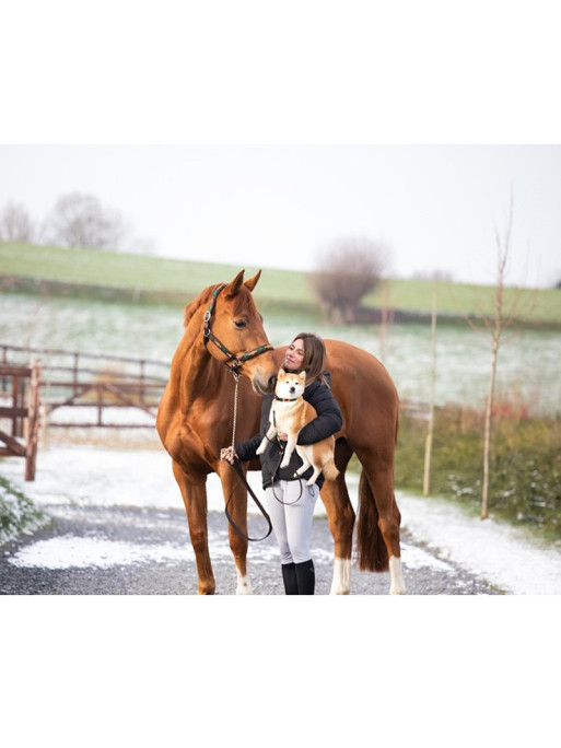 Licol Polo Halter HFI