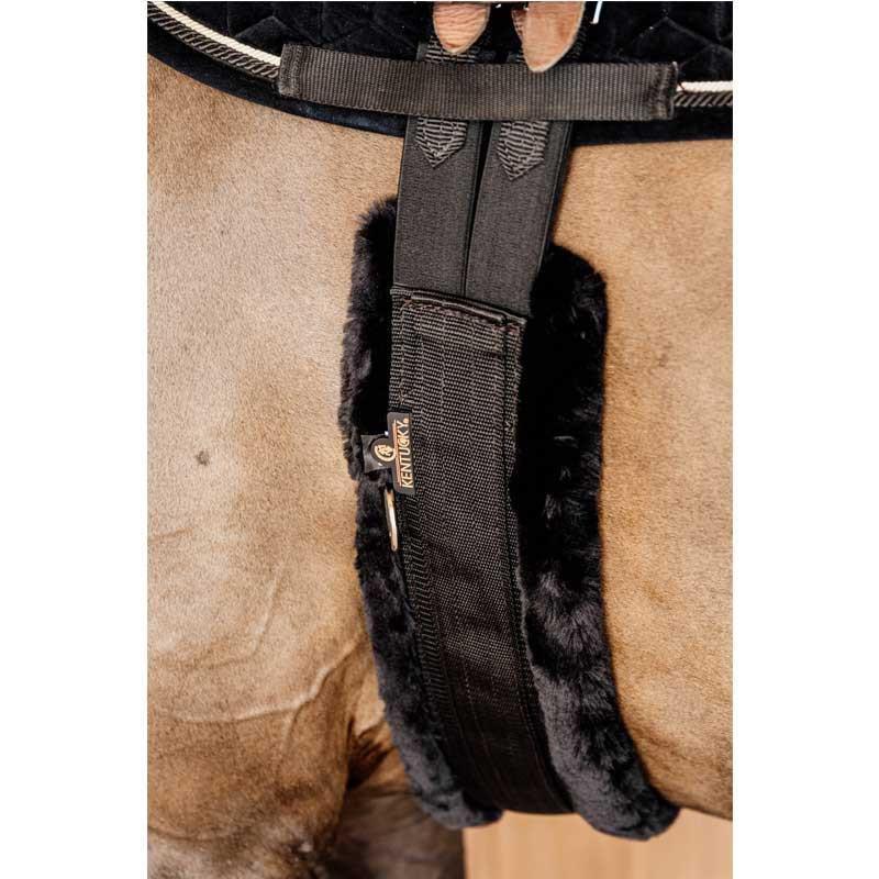 Sangle mouton Kentucky