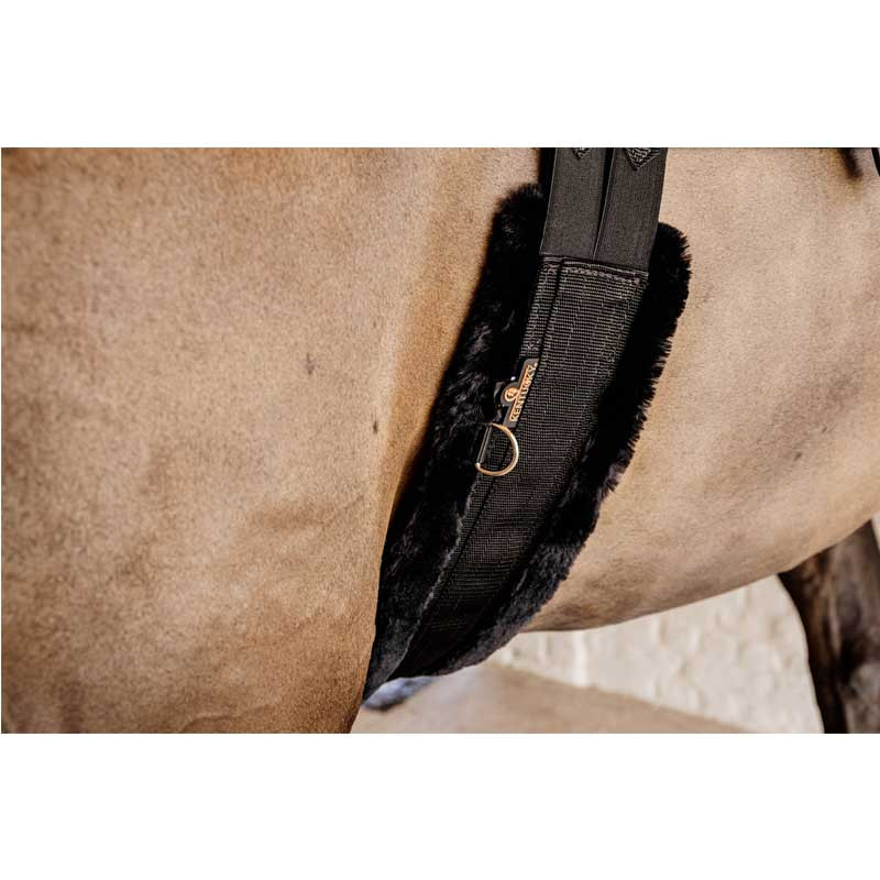 Sangle mouton Kentucky