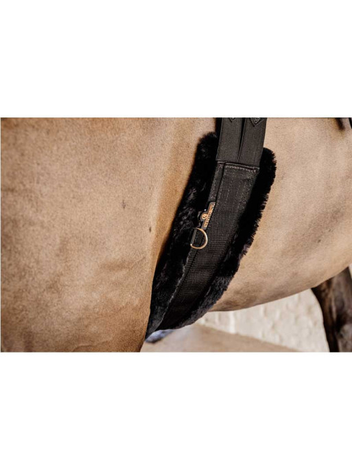 Sangle mouton Kentucky