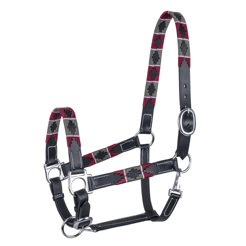 Licol en cuir Polo Waldhausen