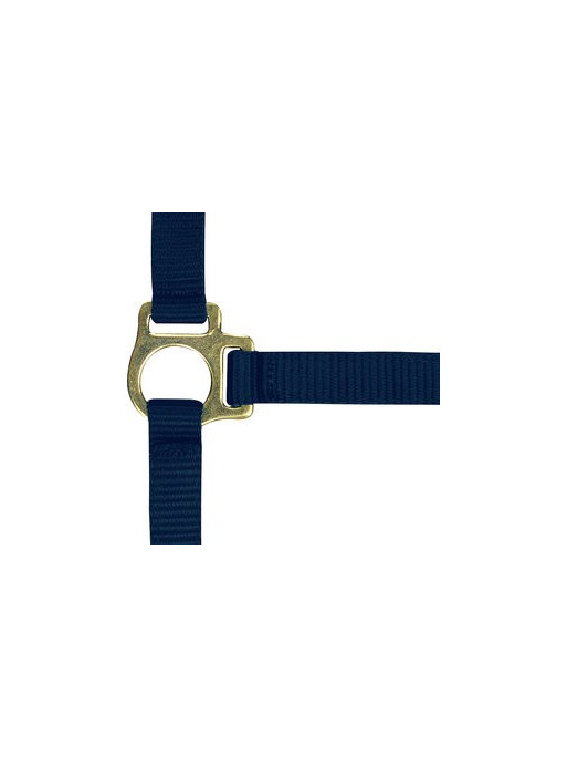 Licol foal nylon
