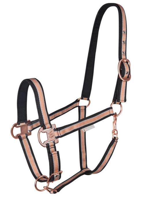 Licol Shine Waldhausen