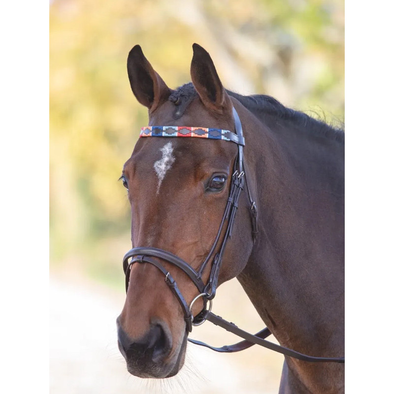 Frontal en cuir Polo