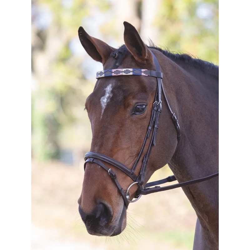 Frontal en cuir Polo