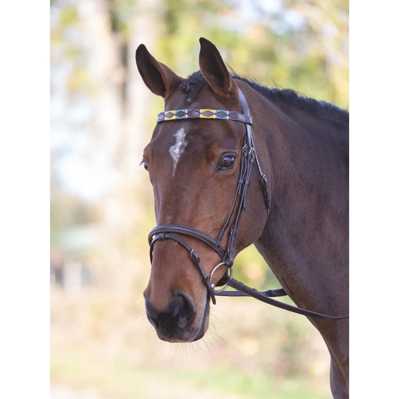 Frontal en cuir Polo