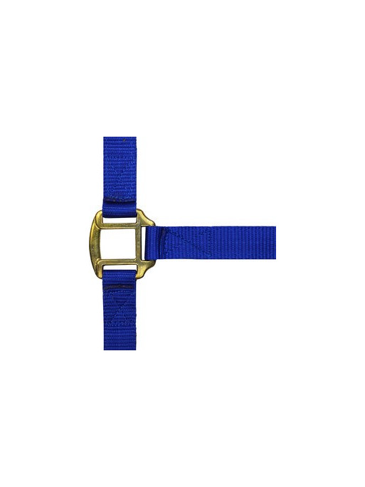 Licol nylon doublé cuir