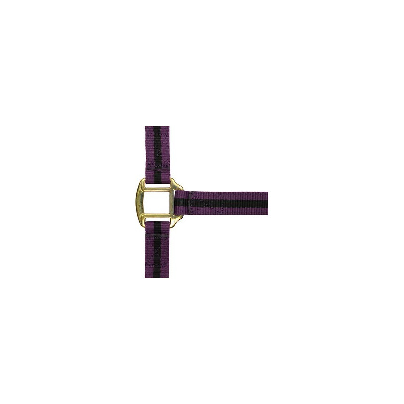 Licol nylon doublé cuir