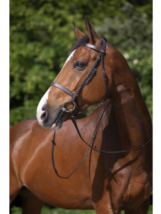 Bridon Muserolle française Riding World